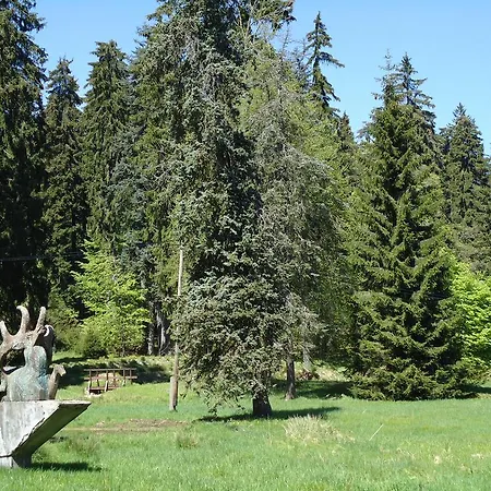 Forstamt Glatzen Kladska *