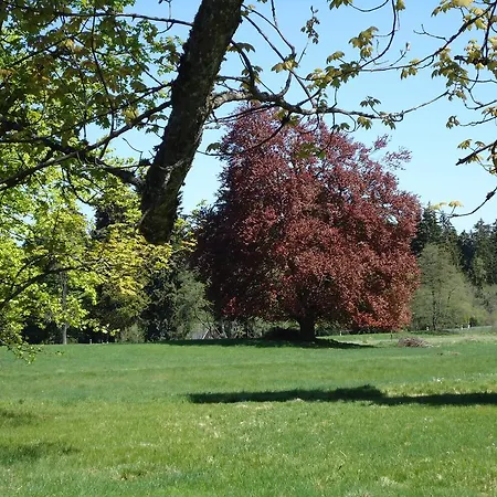 Forstamt Glatzen Kladska Apartament