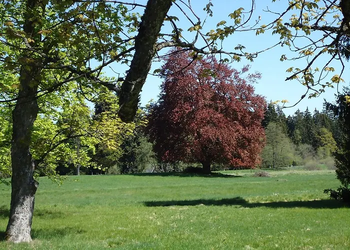 Forstamt Glatzen Kladska Apartmán
